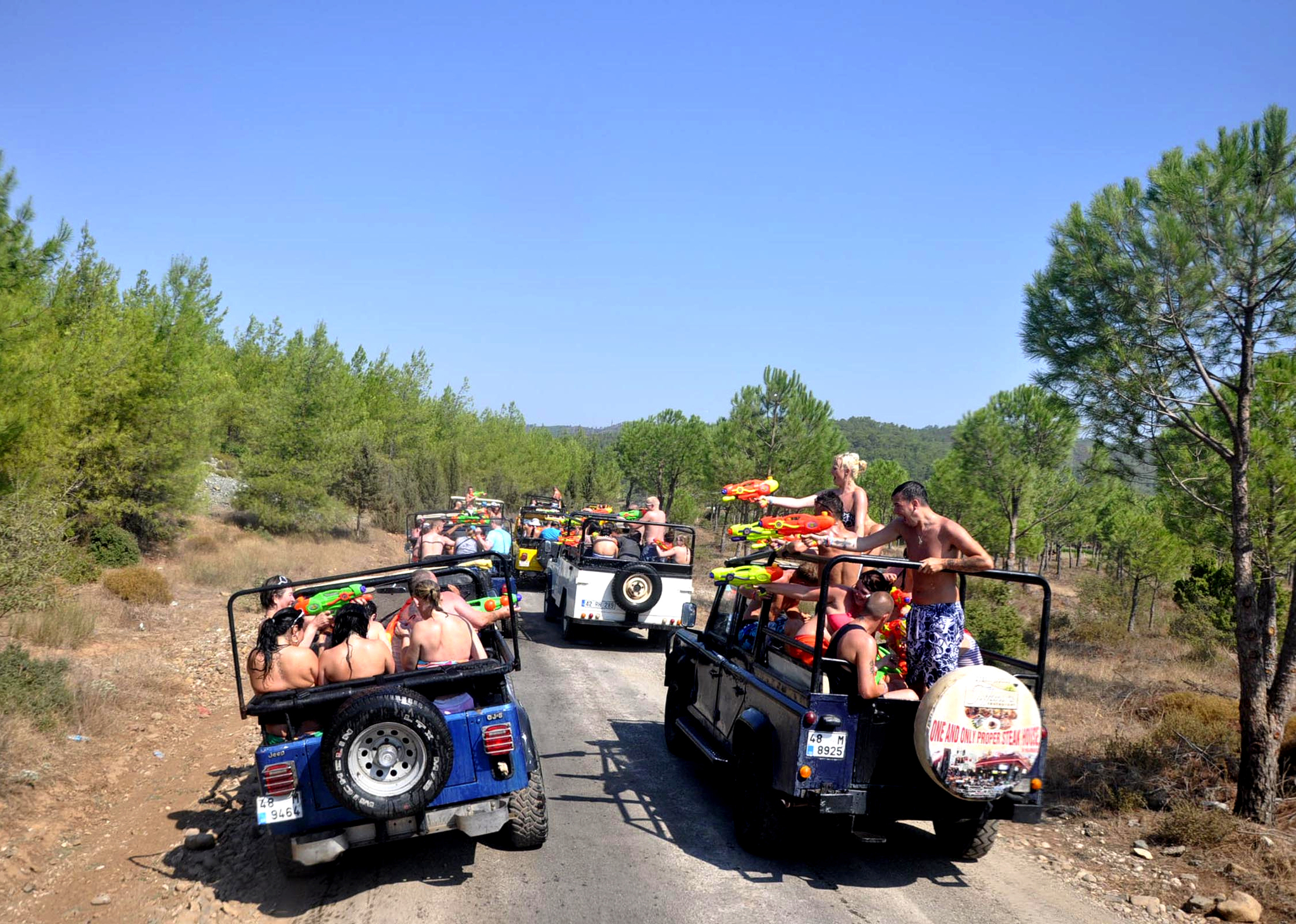 Professional safari tour with SUV's